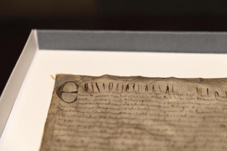 Magna Carta El Yazması