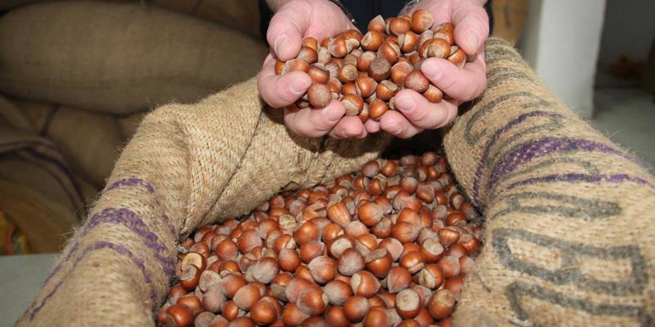 findiktan 1 milyar 610 milyon 163 bin gelir tVujlGWB.jpg