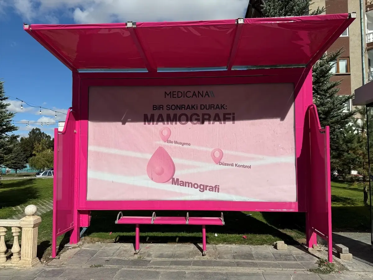 Sivas’ta Meme Kanseri Farkındalık Ayı İçin Duraklar Pembe Renklendirildi sivasta meme kanseri farkindalik ayi icin duraklar pembe renklendirildi EUErTUSQ.jpg