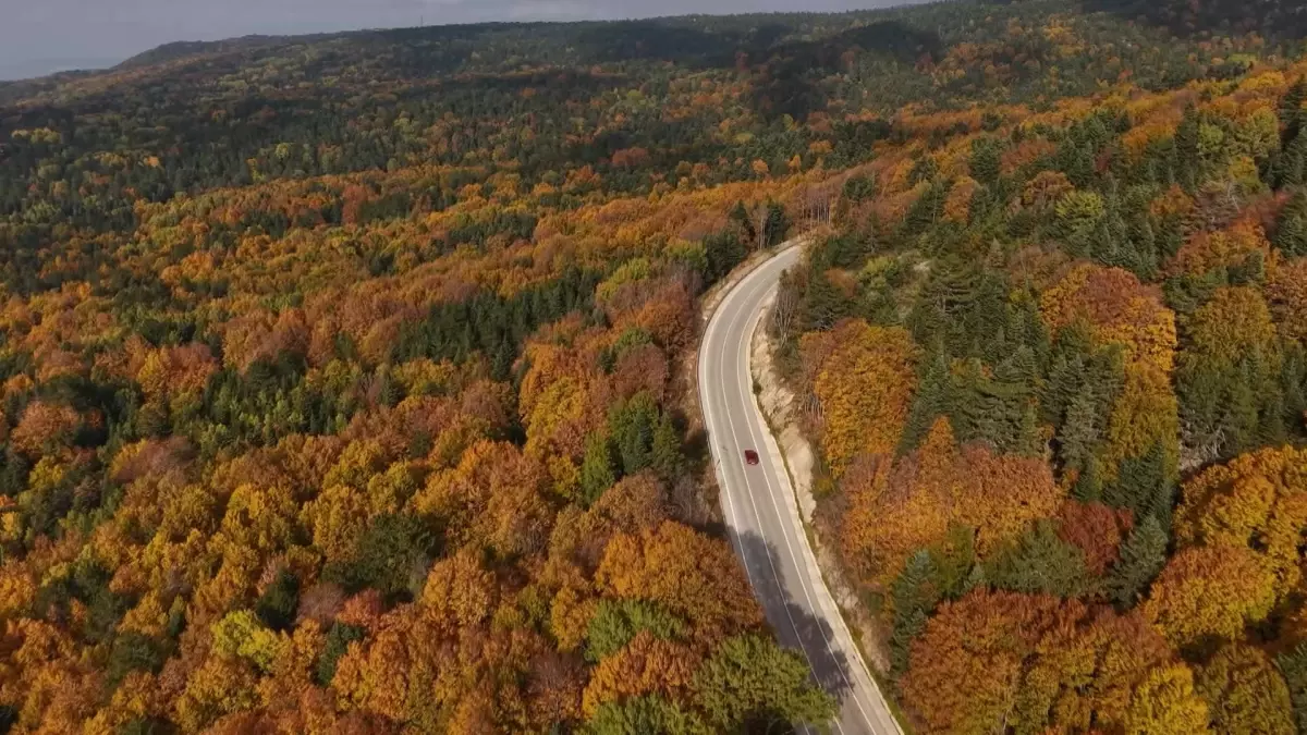 uludagda sonbahar guzelligi PiuSX6AZ.jpg