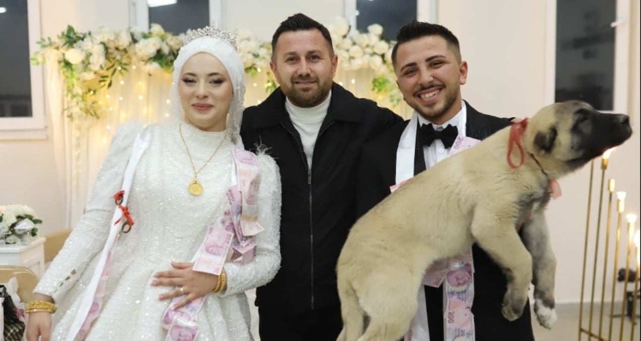 Gelin ve damadı şaşırtan hediye: Takı yerine kangal