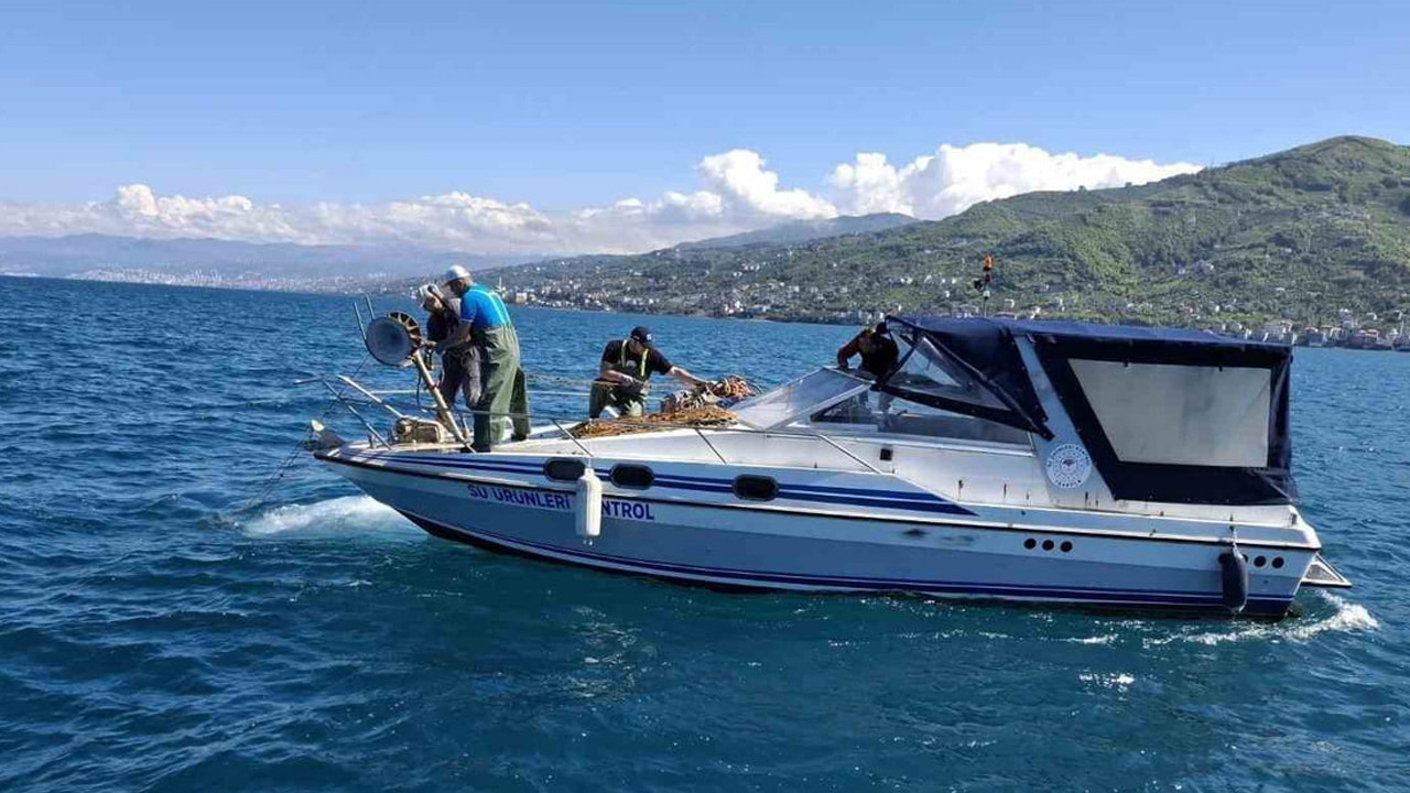 trabzonda-3-bin-metrelik-kacak-aga-el-konuldu-yMNv9VTH